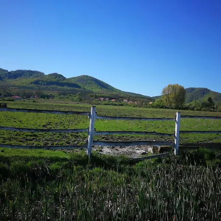 Daire Majorka Vendeghaz Diósjenő