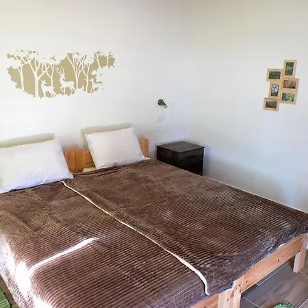 Διαμέρισμα Majorka Vendeghaz Diósjenő