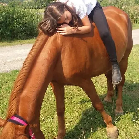 Majorka Vendeghaz Διαμέρισμα Diósjenő